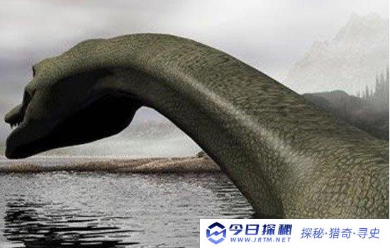 青海湖水怪之谜的真相，体长十几米似蛇颈龙(曾有几次目击事件)-今日探秘